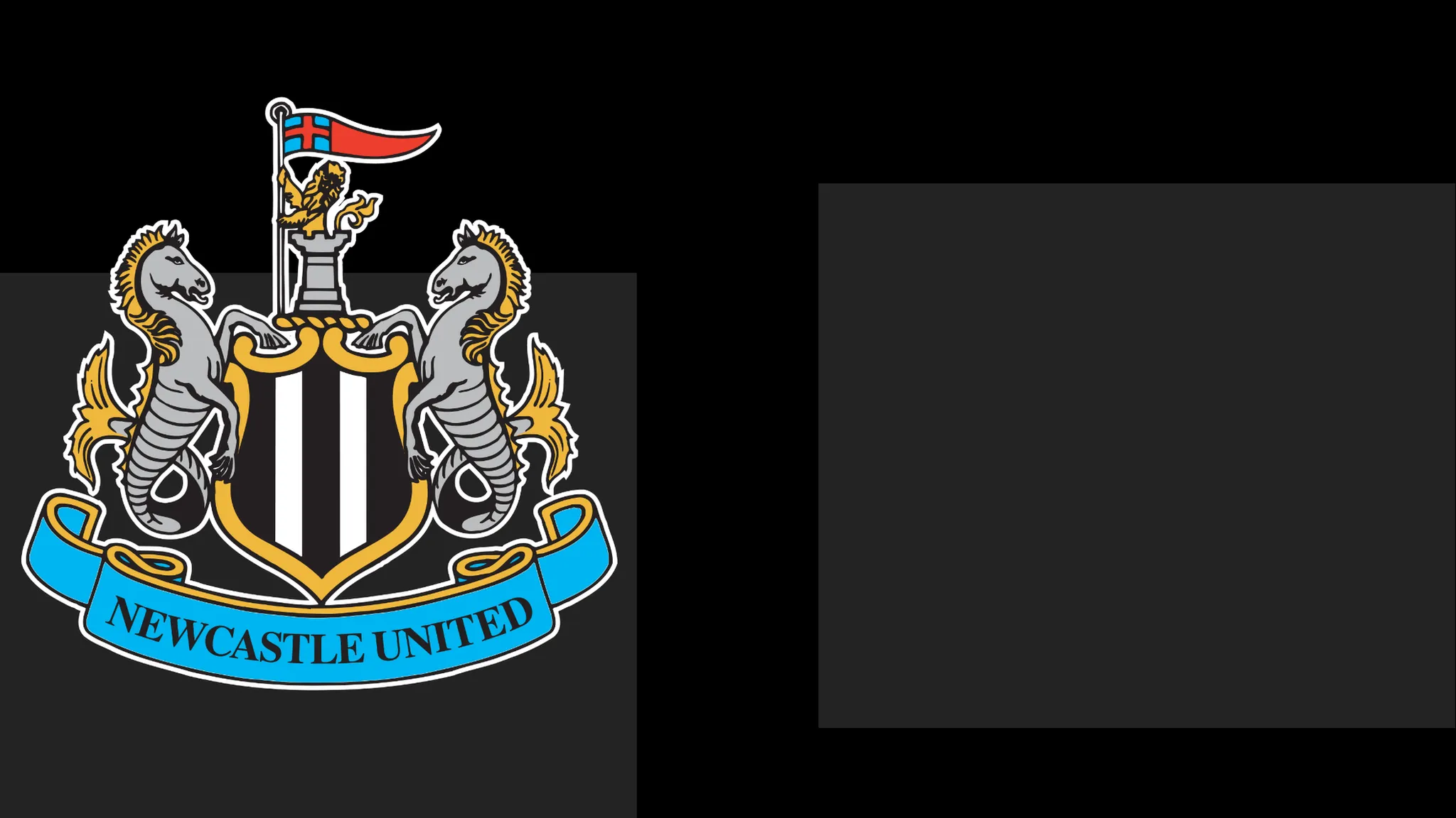 Newcastle Extend Apology to Fans Following Matchday Issue