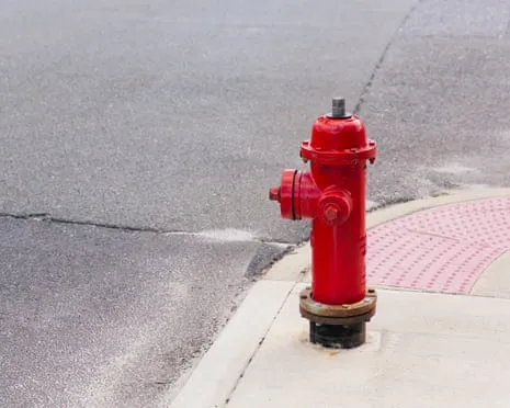 During 2009, Which famous figure Smashed a Luxury SUV Against a Fire Hydrant?