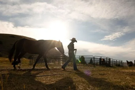 Get to Know the American Women Ranchers Redefining Modern Farm Life