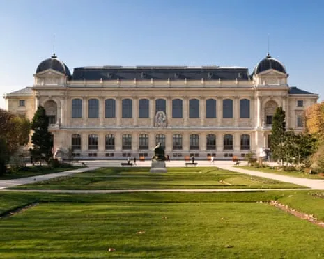 Historic Golden Specimens Snatched in Daring Heist at France's Natural History Museum