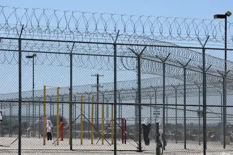 Punjabi Grandmother's Arrest by American Immigration Authorities Ignites Community Anger
