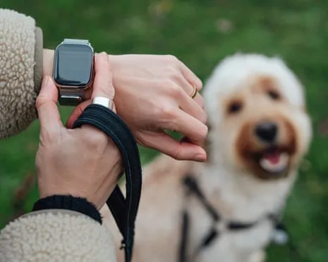 The Reality About Fitness Trackers? Living Improves Without a Hectoring Gadget on Your Wrist